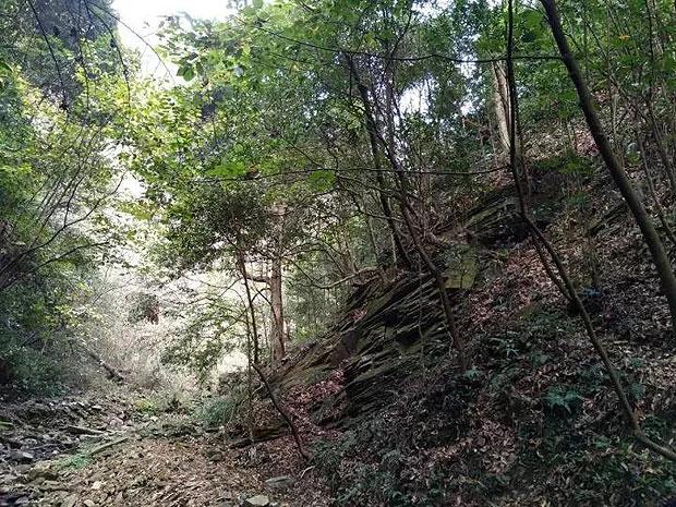 无限翻滚小球